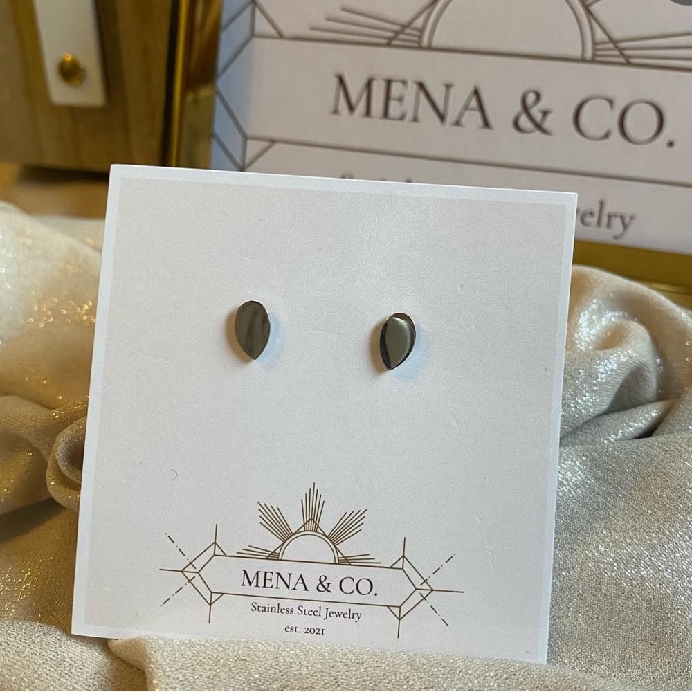 Stainless Steel Silver Water Drop shaped Earrings